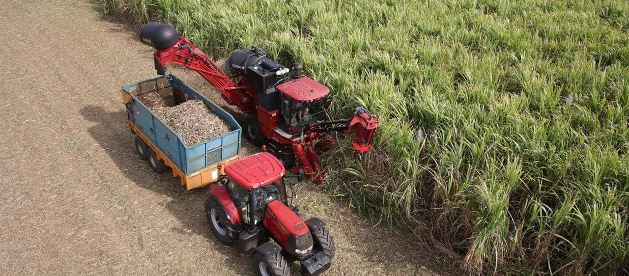 Case IH A8000 and A8800: Competence in sugar cane harvesting, built on tradition and innovative engineering